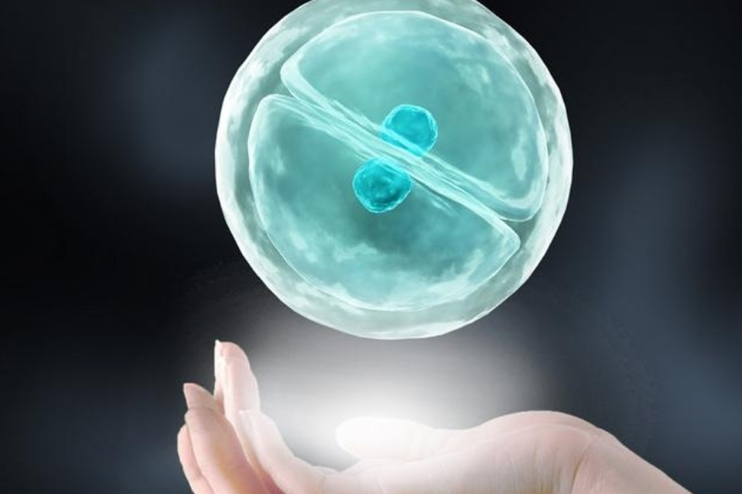 梦幻西游手游代怀宝宝获得攻略