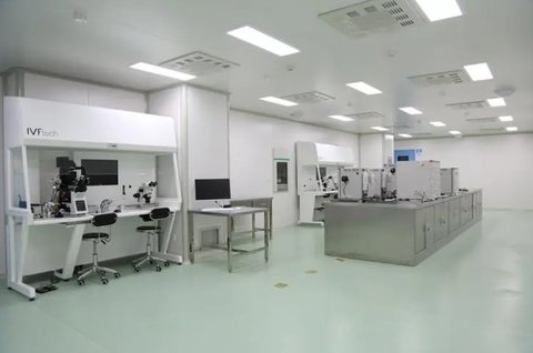 应对6岁代怀宝宝高烧不退的家长指南